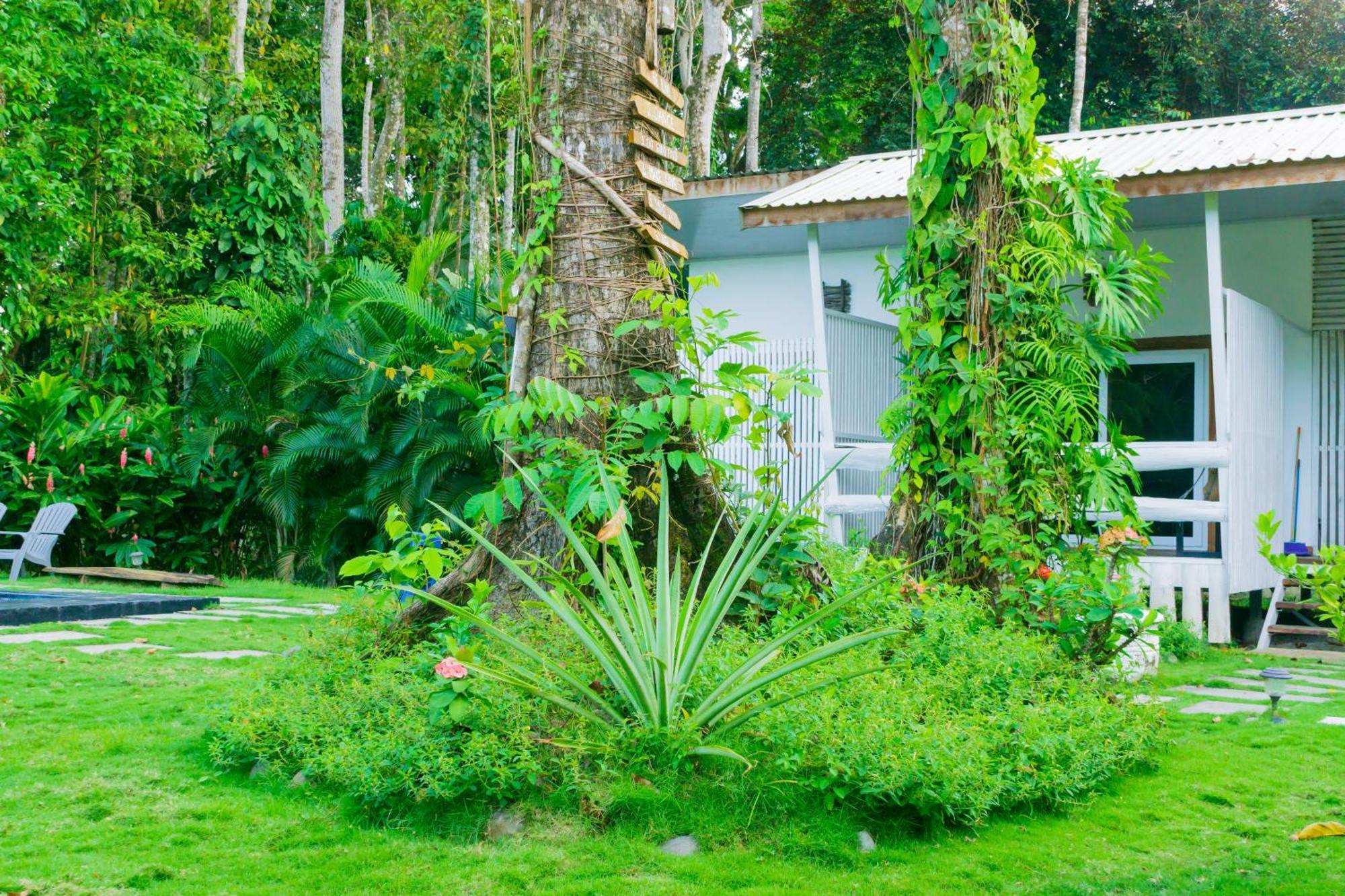 Olivia Del Caribe Suite Puerto Viejo de Talamanca Luaran gambar
