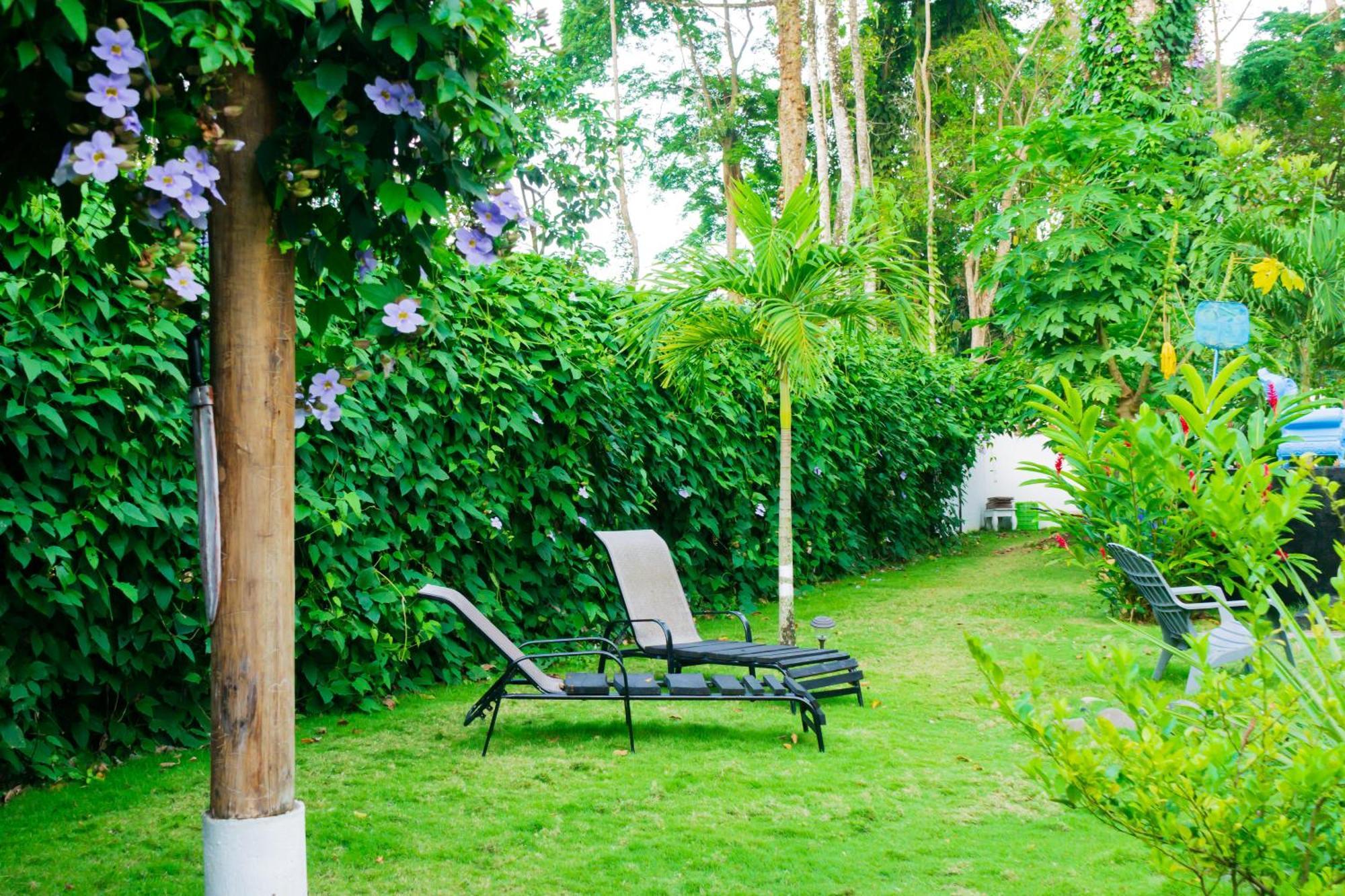 Olivia Del Caribe Suite Puerto Viejo de Talamanca Luaran gambar