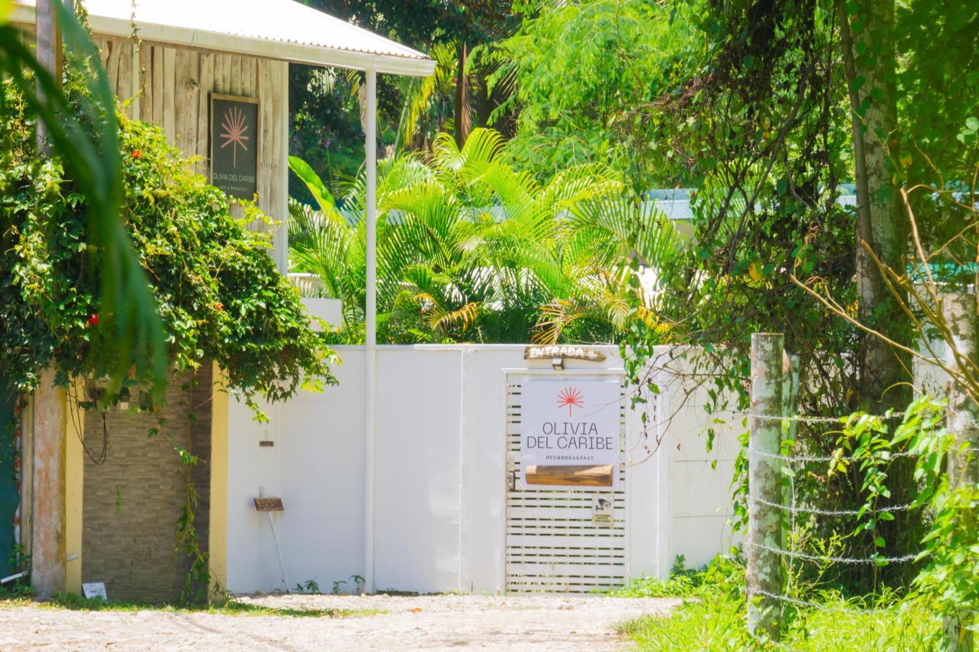 Olivia Del Caribe Suite Puerto Viejo de Talamanca Luaran gambar